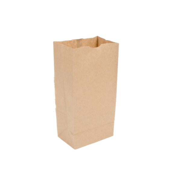 Brown Paper Bag # 6 (500/case)