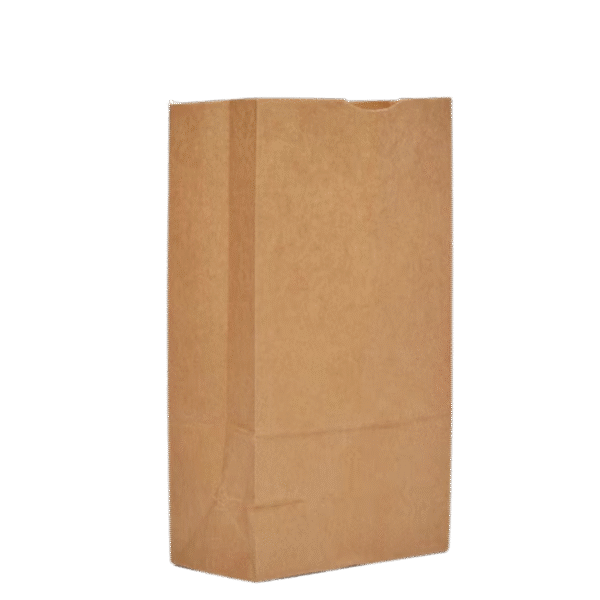 Brown Paper Bag # 8 (500/case)