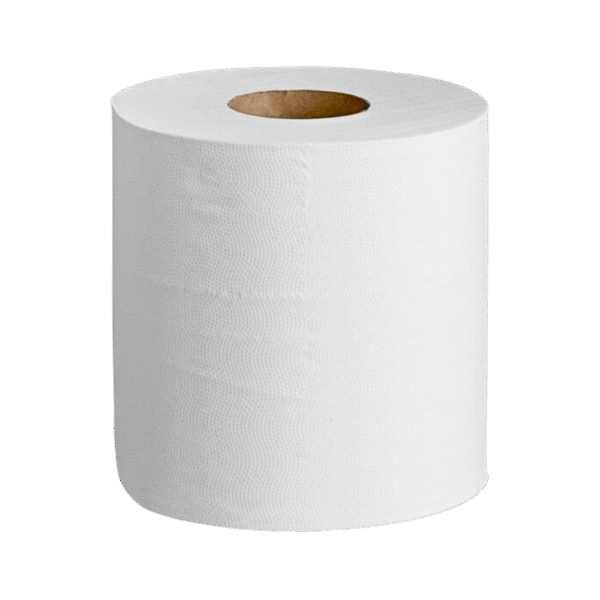 Center Pull Towel 2PLY 500 Sheets (6/Case)