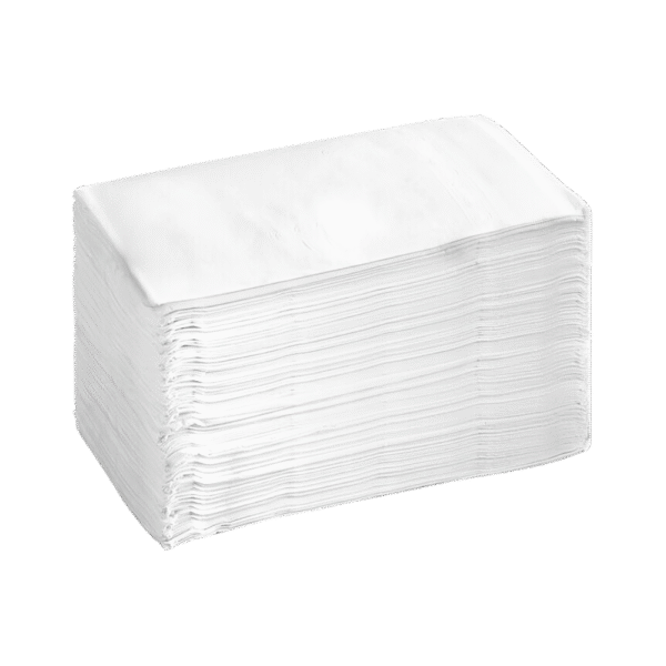 Dinner Napkin 2-PLY (3000/Case)